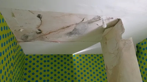 Des logements insalubres quartier du Belvédère à Talant